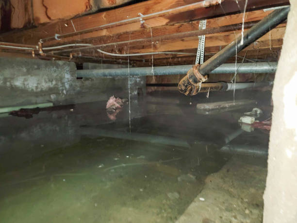 Best Water damage restoration experts  in Rahway, NJ