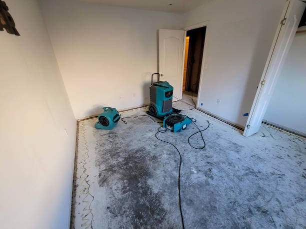Best Mold removal after water damage  in Rahway, NJ