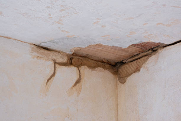 Best Flood restoration services  in Rahway, NJ