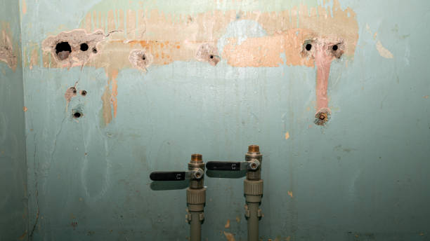 Best Professional water damage repair  in Rahway, NJ
